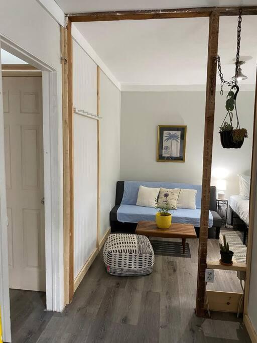 Studio Apt W Garden Kingston Extérieur photo