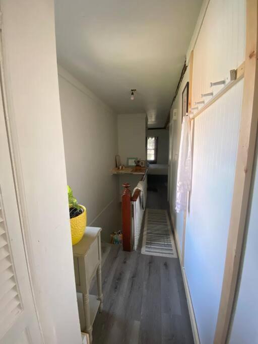 Studio Apt W Garden Kingston Extérieur photo