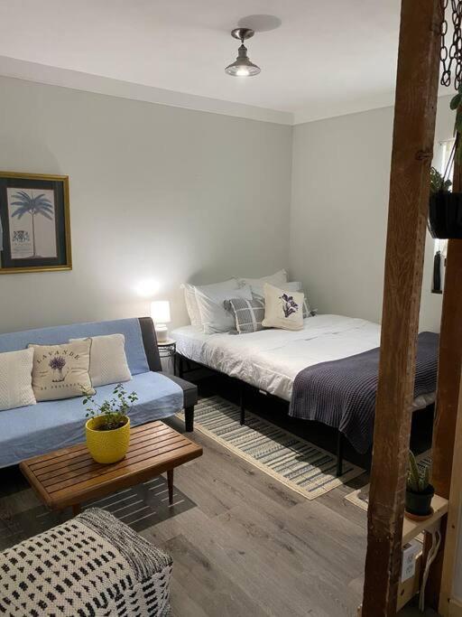 Studio Apt W Garden Kingston Extérieur photo