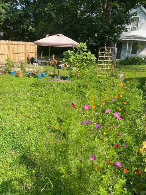 Studio Apt W Garden Kingston Extérieur photo